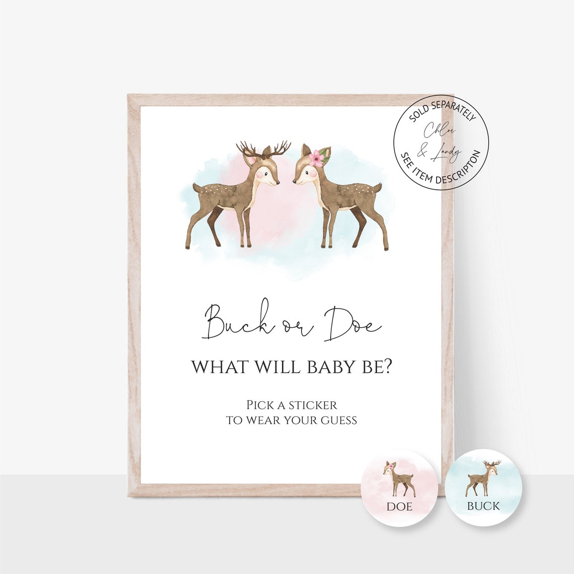 Gender Reveal Party Instant Download Blue or Pink Gender | Etsy