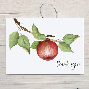 Apfel Dankeskarte Vorlage | Bearbeitbare Apfel-Babyparty-Dankeschön-Karte | Druckbare Karte Apfel | Sofortdownload | Tempett | N35