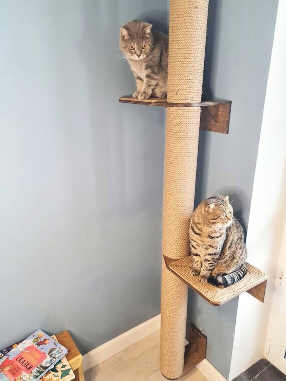 cat tree pole
