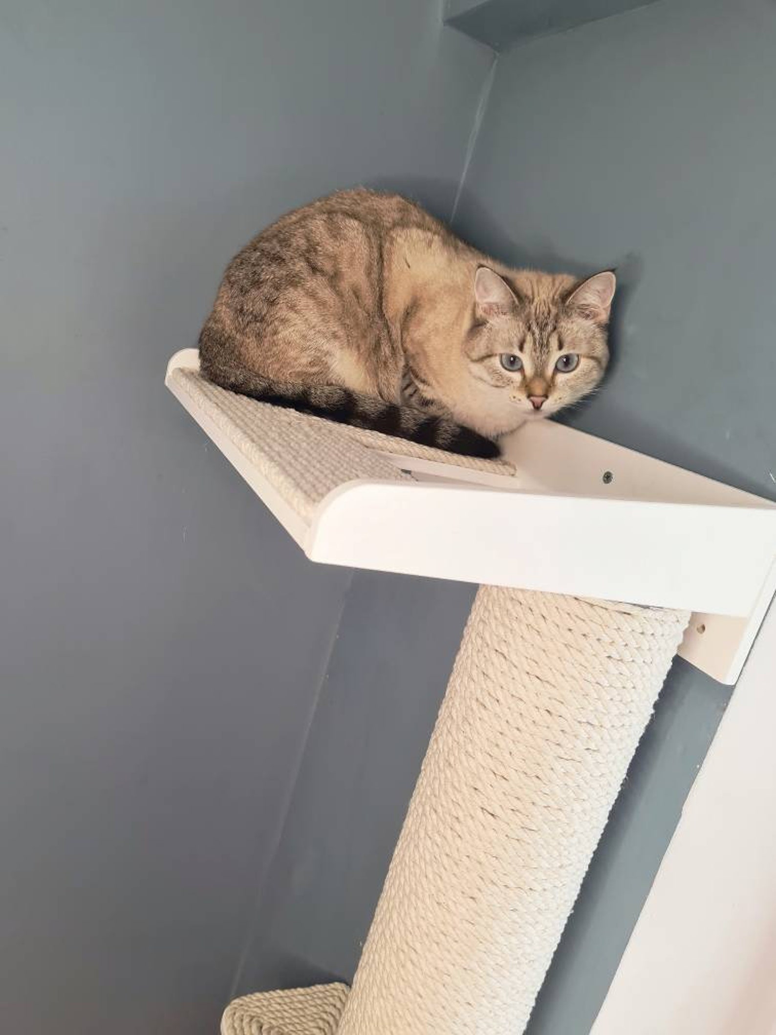 Cat tower 120 cm customized cat tree wall mount wooden ca Etsy