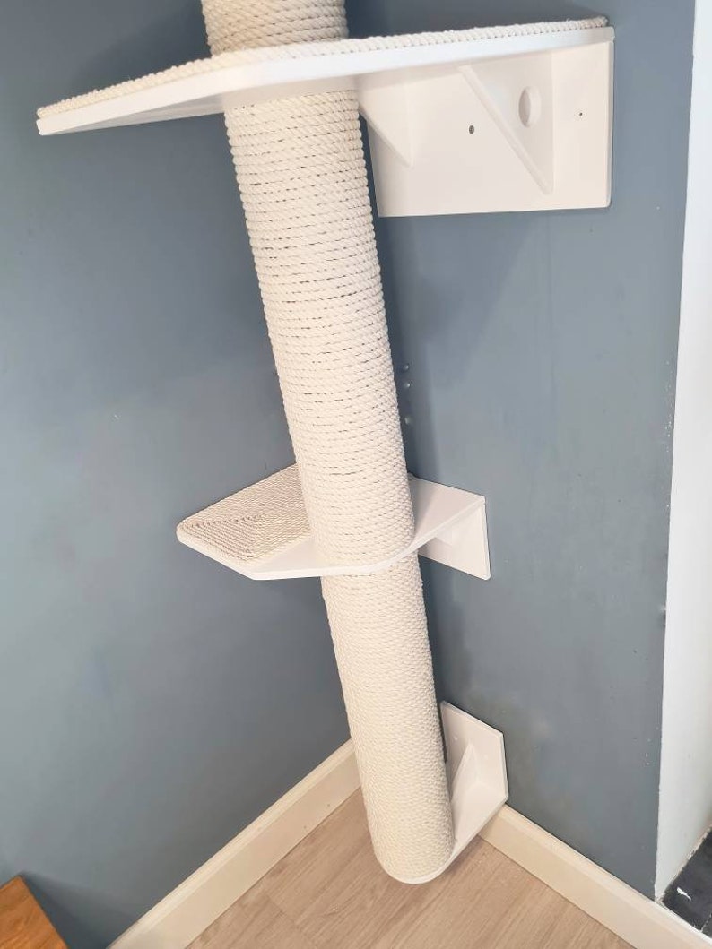 cat tree built into wall