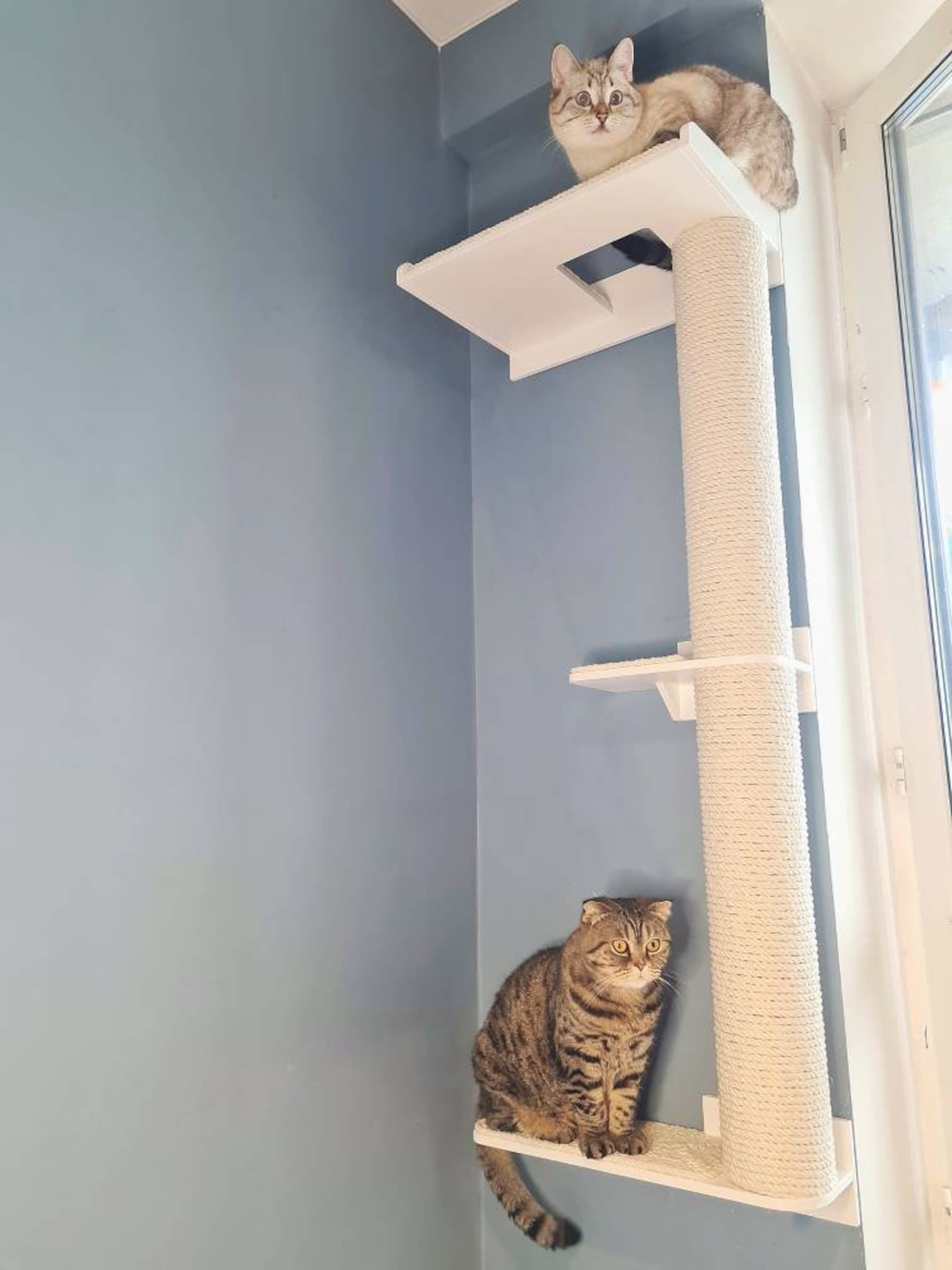 Cat tower 120 cm customized cat tree wall mount wooden ca Etsy