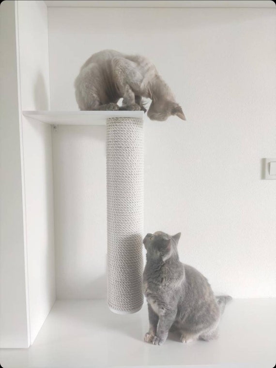 cat scratching post tree trunk