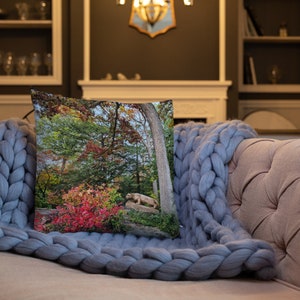 Fall Penn State Premium Pillow