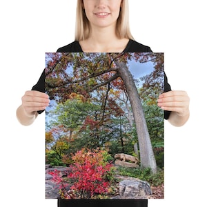 Fall Nittany Lion Poster
