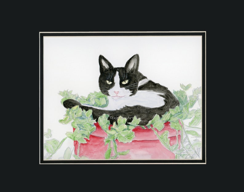 black and white cat portrait 8x10 matted to 11x14, Cat in Plant Original Watercolor by TexipamArt