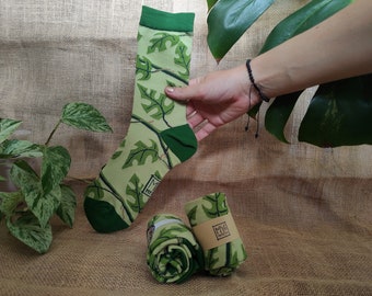 Designer Socks Plants