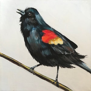 May include: A black and red bird with a yellow patch on its wing is perched on a branch. The bird is singing with its beak open.