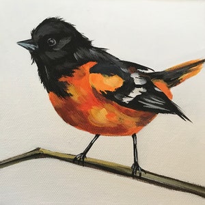 Oriole Bird Painting Kit . DIY paint kits