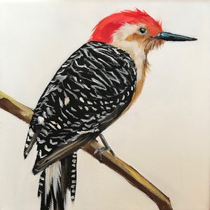 May include: A red-headed woodpecker with black and white stripes perched on a branch. The bird has a long, pointed beak and a red crest on its head.