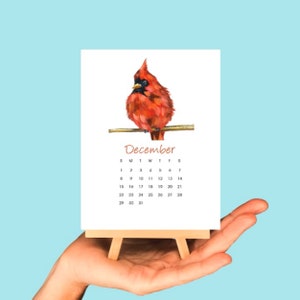 Songbird Desktop Calendar 2026 - Bird lover Mini Desk Calendar for Home or Office - Birdwatching Desktop Calendar