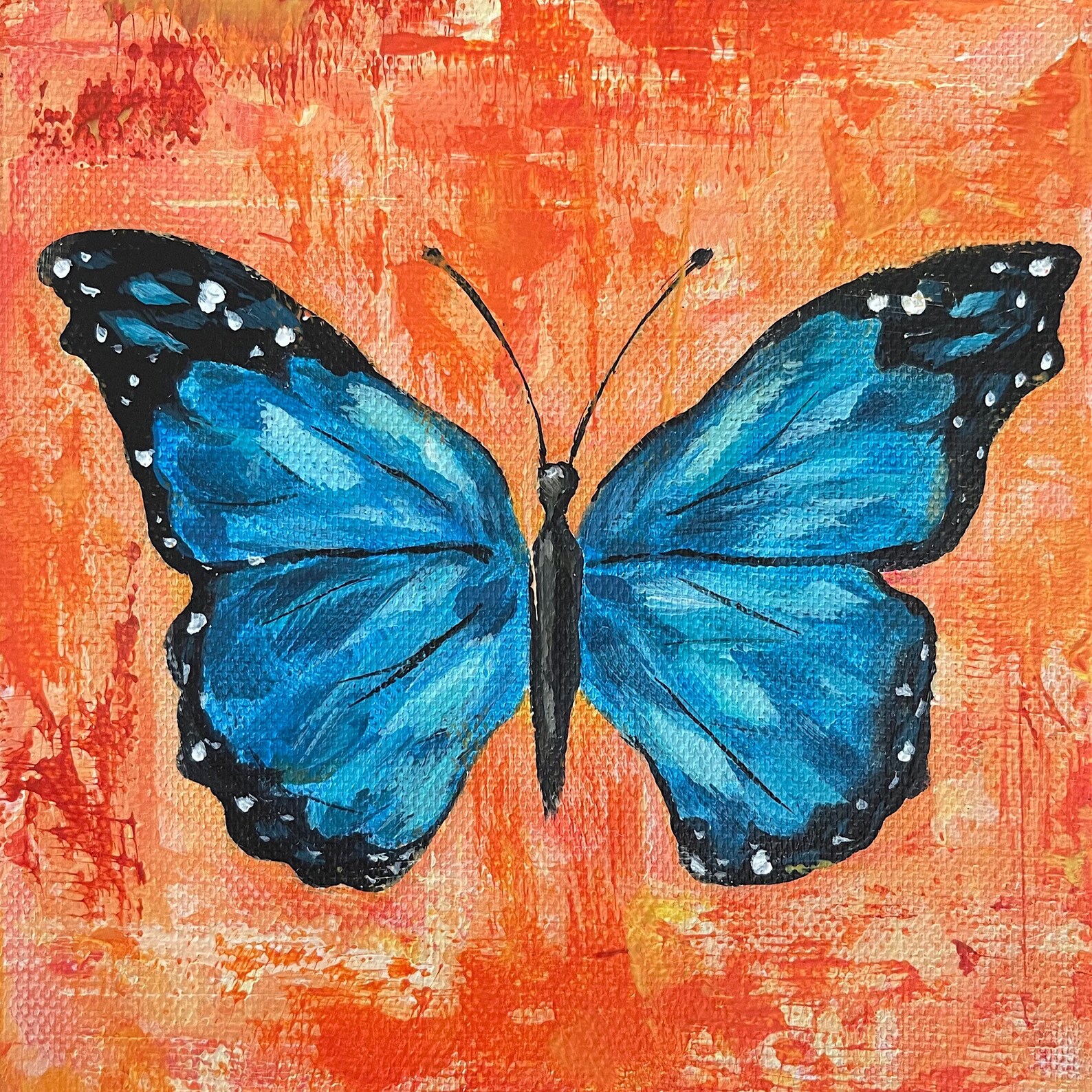 Butterfly Painting Kit . DIY Acrylic Paint Kits. Butterfly Art Etsy