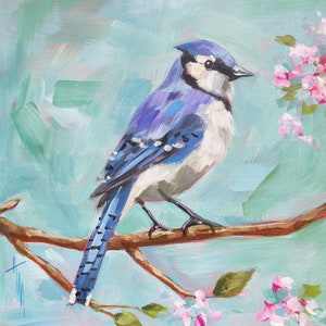 May include: A blue jay perched on a branch with pink blossoms. The bird has a blue head, wings, and tail, with a white chest and a black eye. The background is a soft blue and green.