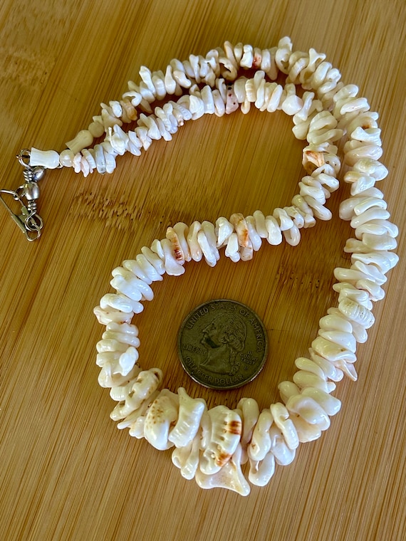 Chunky Real Hawaiian vintage shells rare natural “