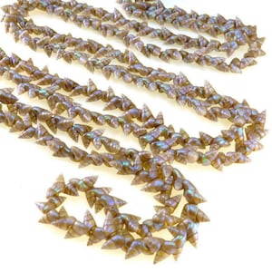 RARE Maireener Muschelkette 16 ”lange irisierende Tasmanische Muschel graugrün lei