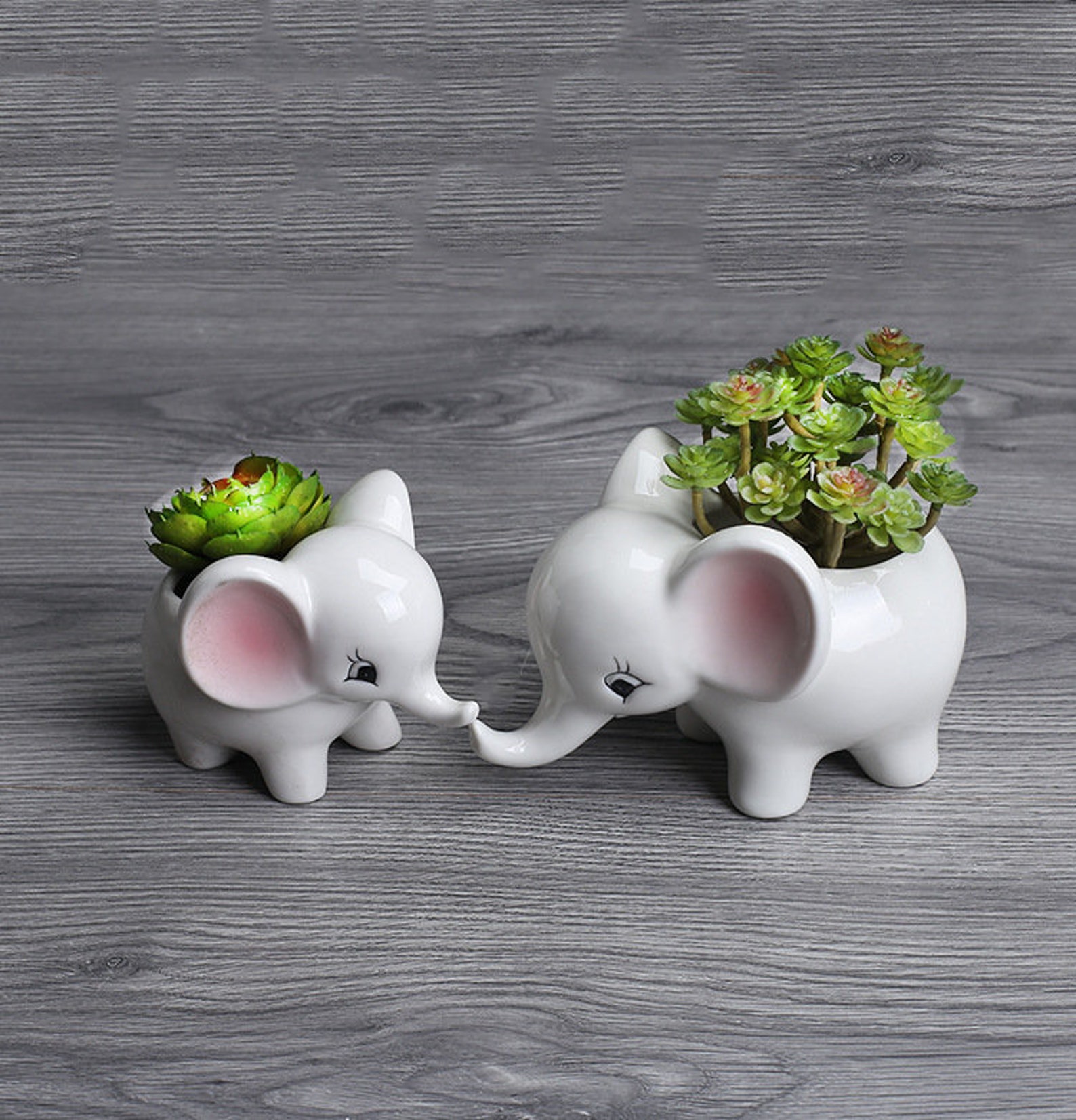 Pink Ear Ceramic Elephant Succulent Planter Moss Planter Etsy