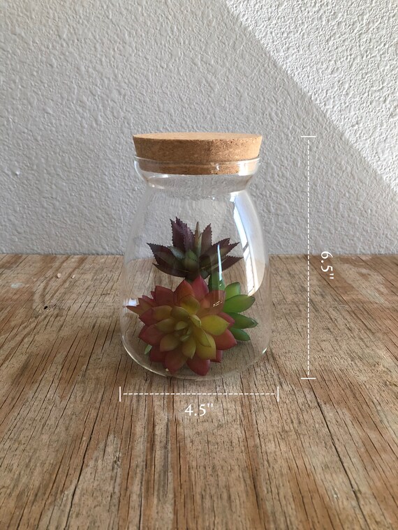 Terrarium Air Plant Food Container Marimo Aquarium Pantry Jar Air Tight