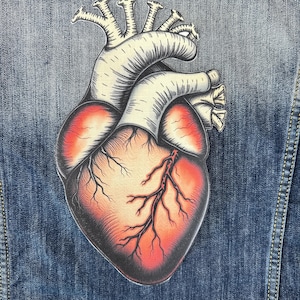 Può includere: Un cuore anatomico rosso con vene e arterie, con un contorno bianco, è cucito su una giacca di jeans blu.