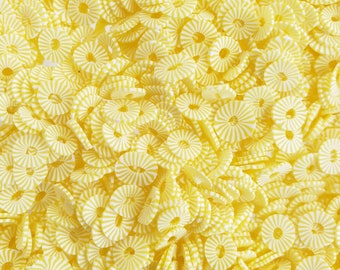 Tranches d'ananas 5 mm-30-60 grammes-tranches d'argile polymère-faux pépites de fruits, travaux manuels, embellissements, slime, nail art, gobelets boules à neige