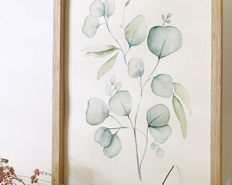 Eucalipto em aquarela, pintado à mão, Boho, presente, botânico