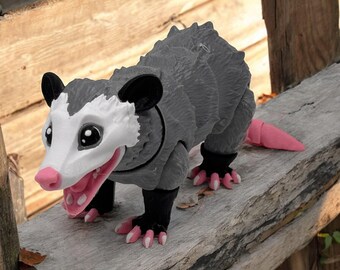 Little Rascal Opossum with open and close mouth