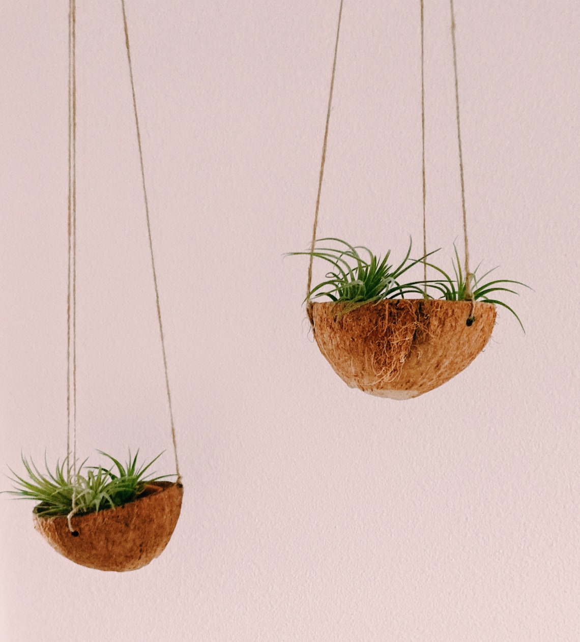 Coconut Shell Hanging Planters Coconut Planters Upcycled Etsy