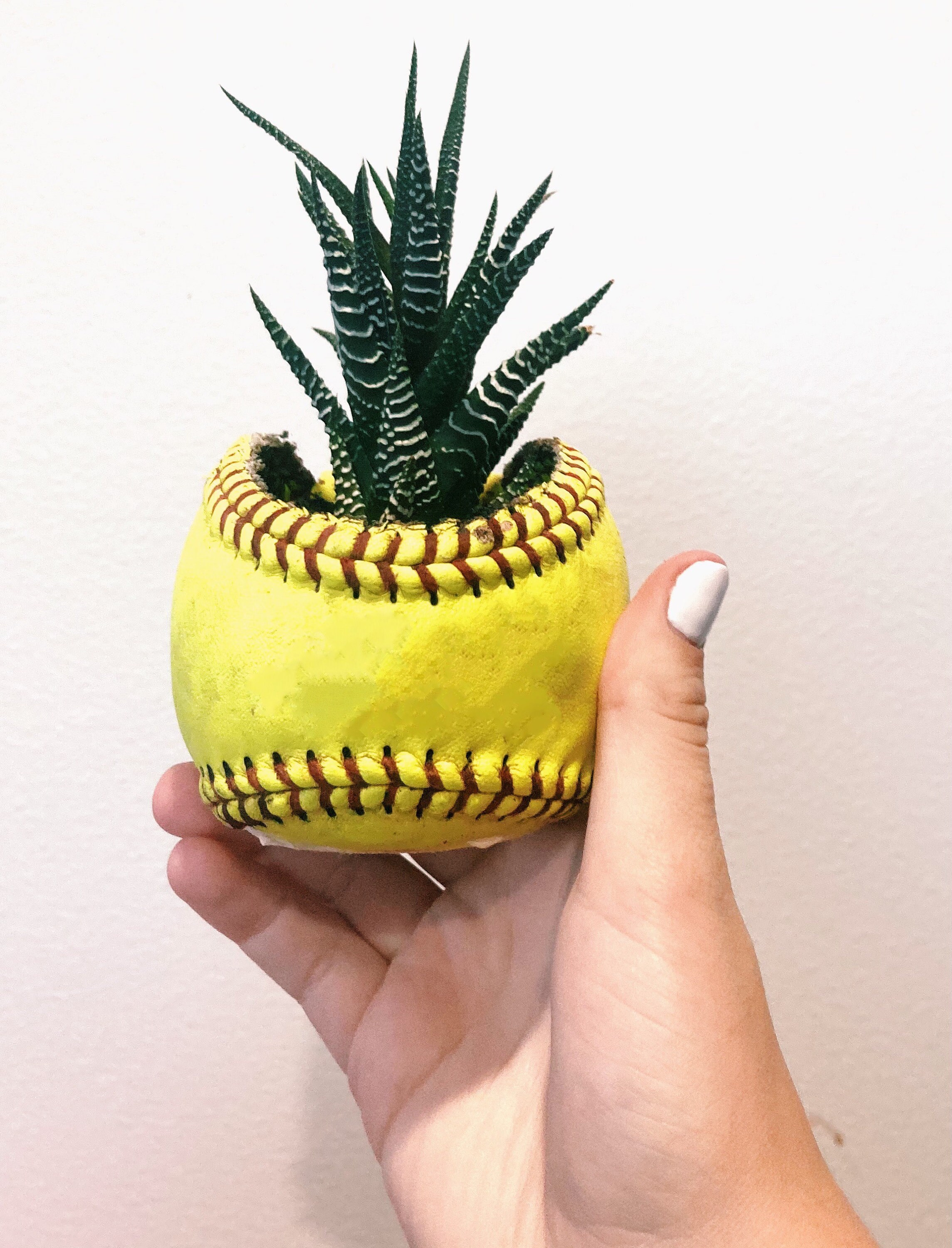 Softball planter softball gift softball player softball Etsy