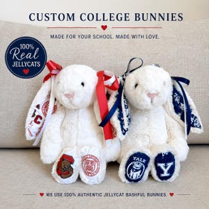 May include: Two white plush bunny toys with long ears, each featuring custom fabric patches on the ears and feet. One bunny has red ribbons and red-themed university logos, while the other has navy blue ribbons and Yale university branding.