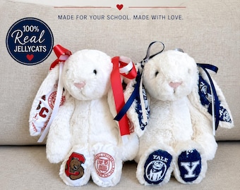Custom College Jellycat Bunny • Personalized School Colors Plush Bunny • Graduation Gift • College Acceptance Gift • Handmade Keepsake
