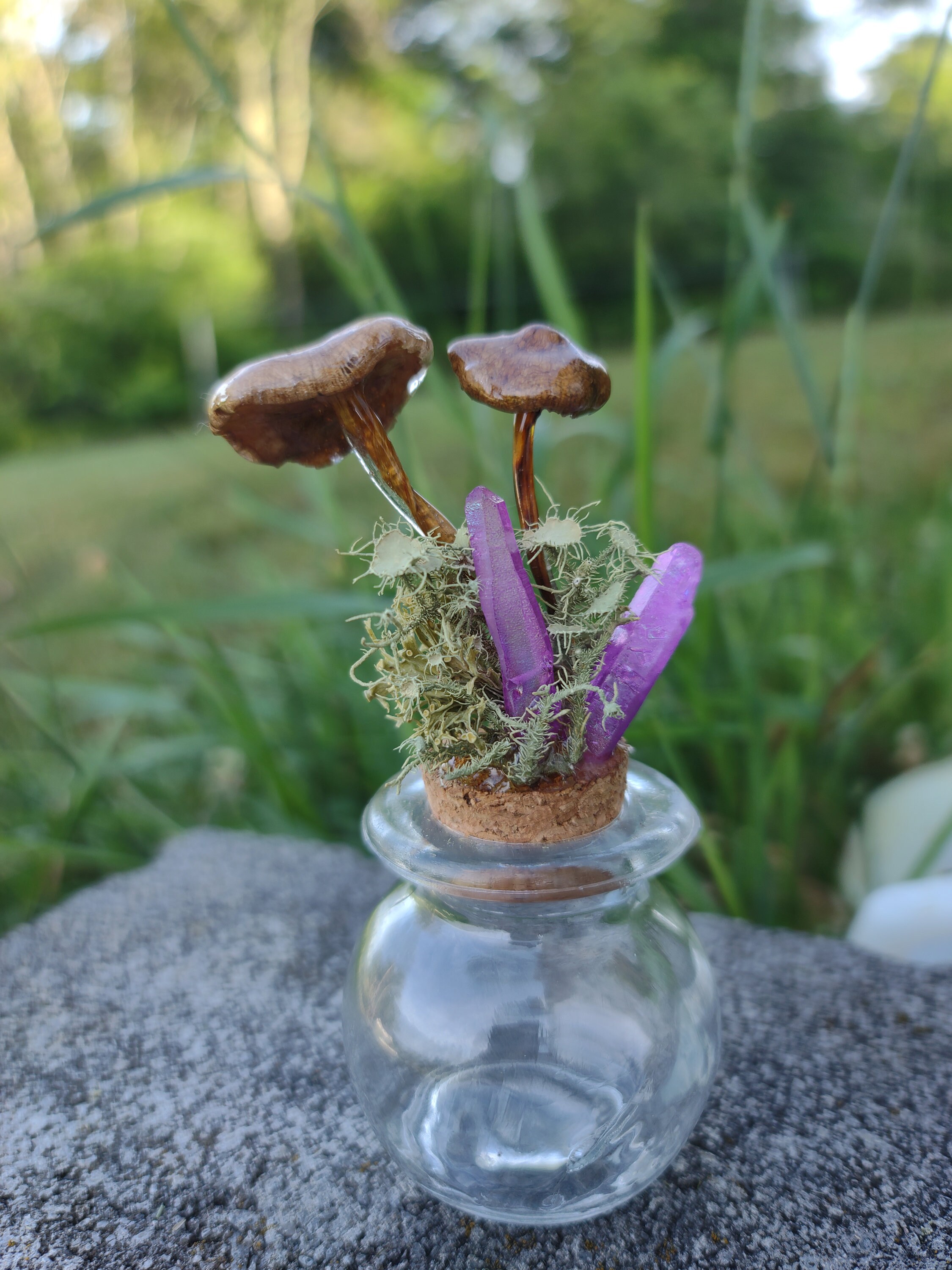 Real Mushrooms and Crystals Jar Display Home Decor Alter Etsy