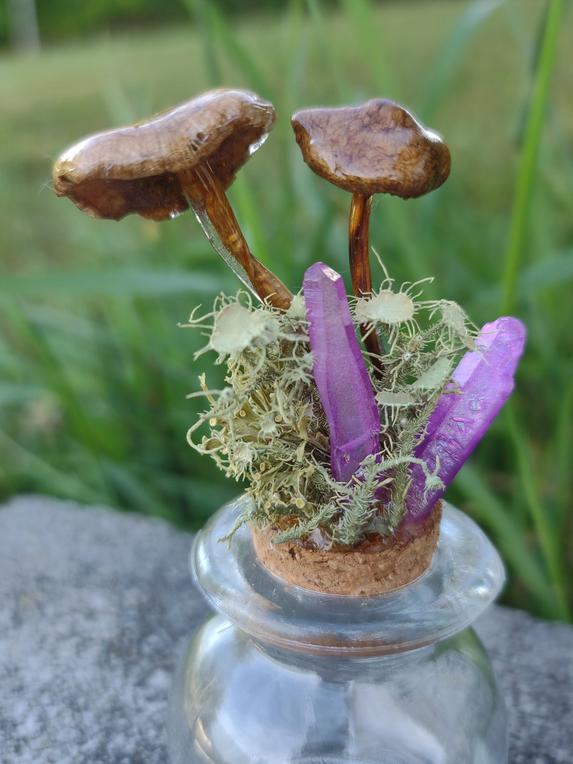Real Mushrooms and Crystals Jar Display Home Decor Alter Etsy