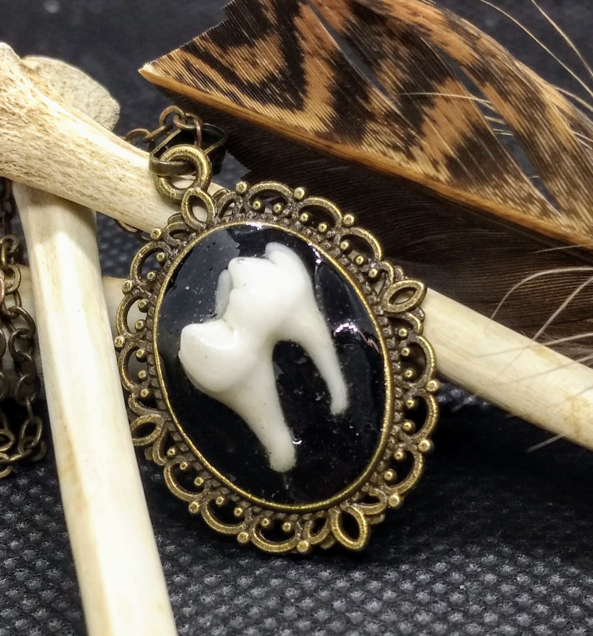 Small Animal Teeth Necklaces 2 Different Styles Apothecary Etsy