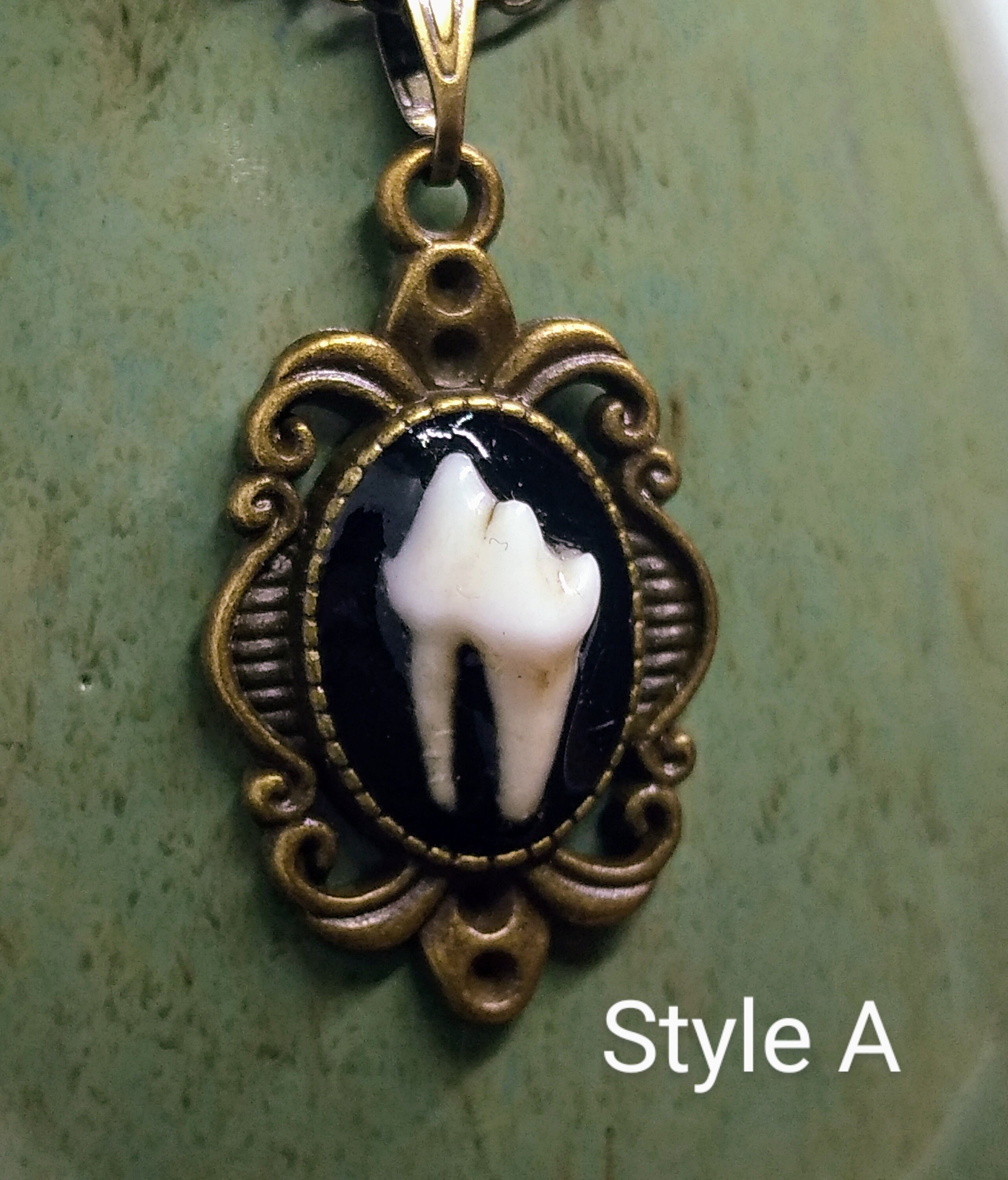 Small Animal Teeth Necklaces 2 Different Styles Apothecary Etsy