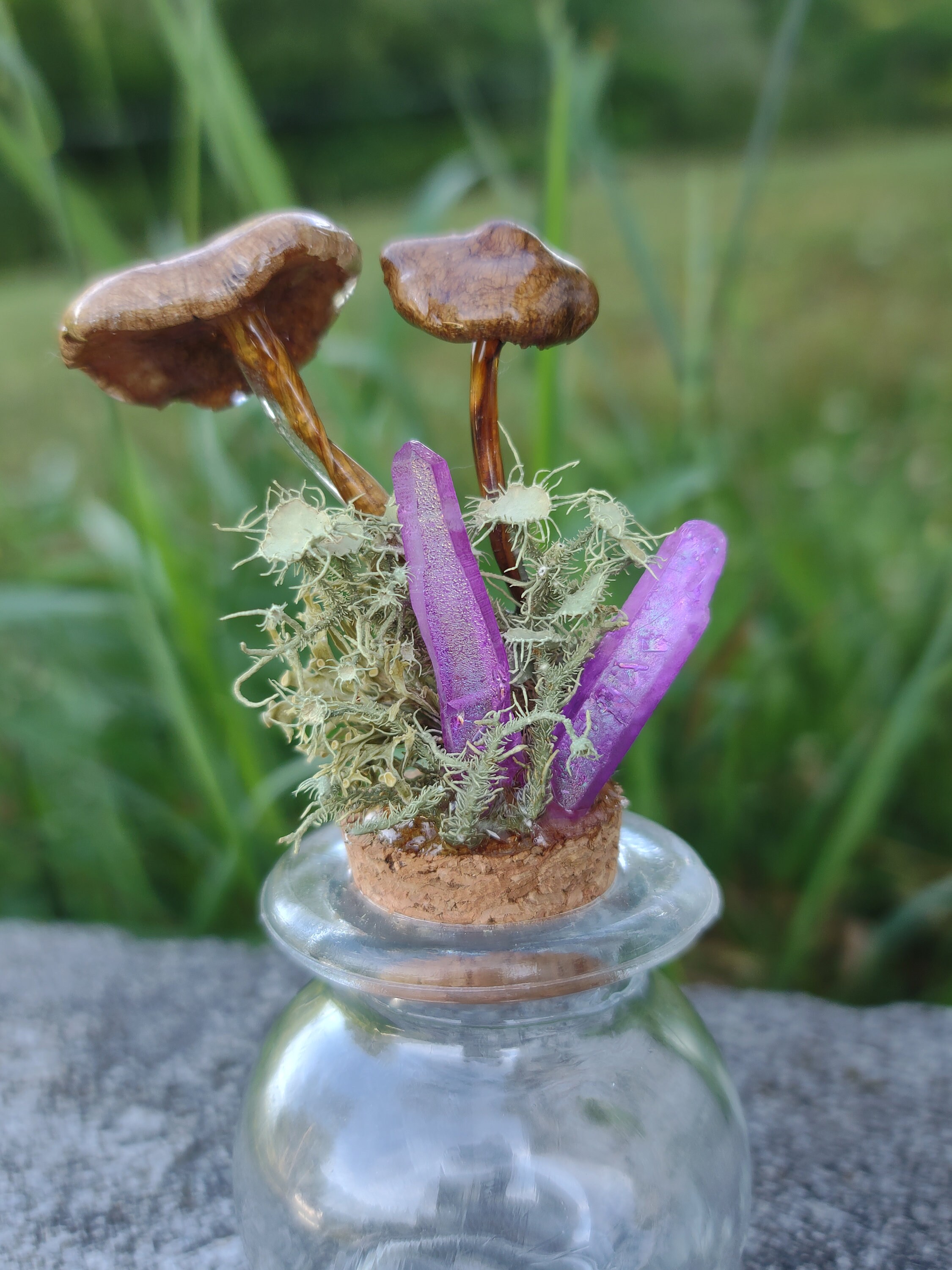 Real Mushrooms and Crystals Jar Display Home Decor Alter Etsy