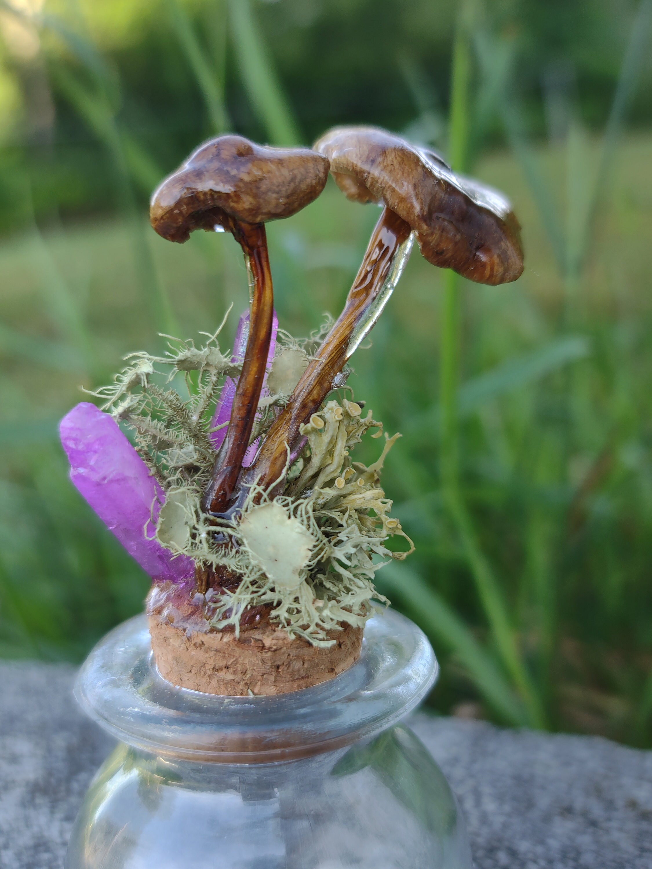 Real Mushrooms and Crystals Jar Display Home Decor Alter Etsy
