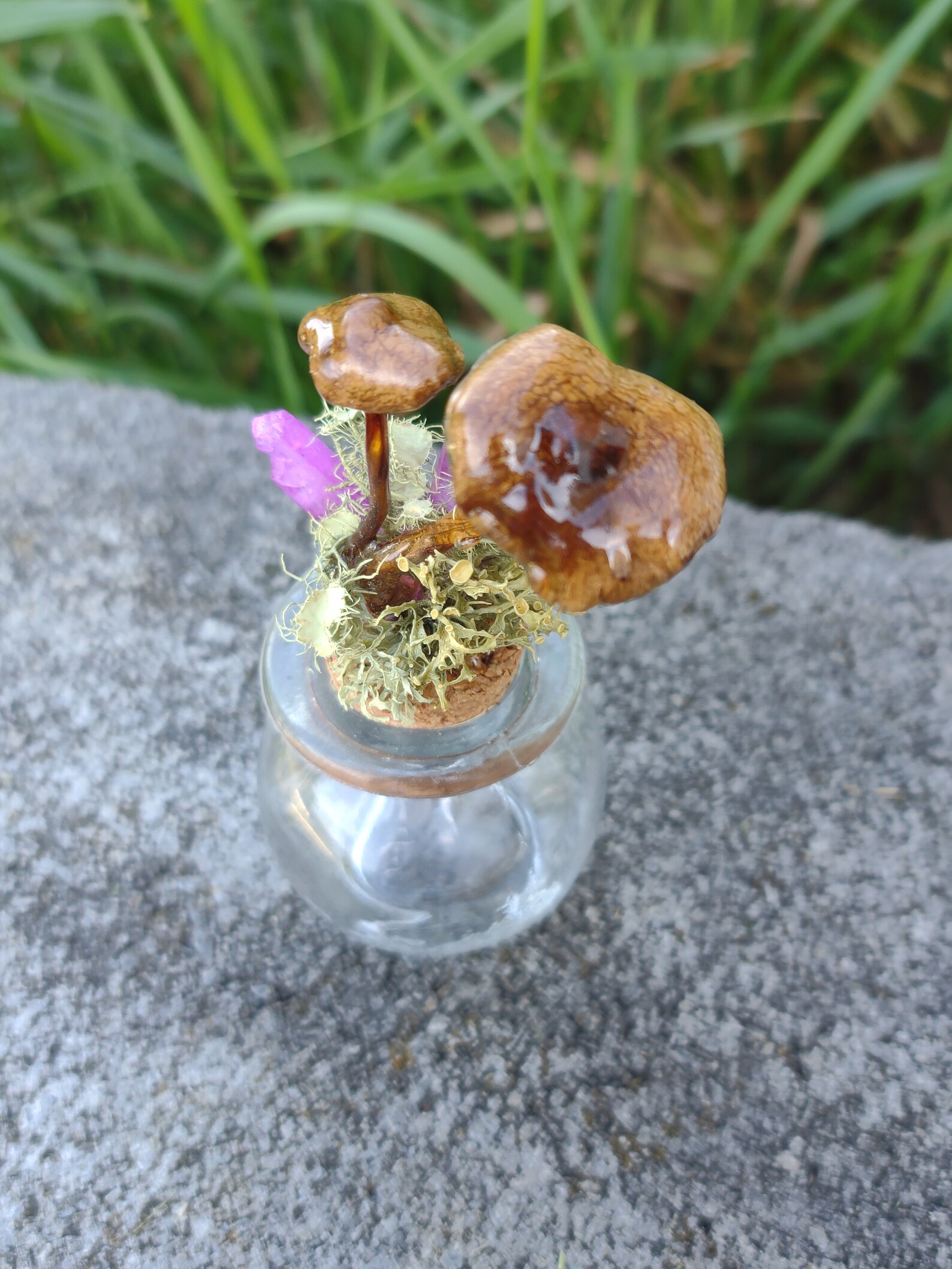 Real Mushrooms and Crystals Jar Display Home Decor Alter Etsy