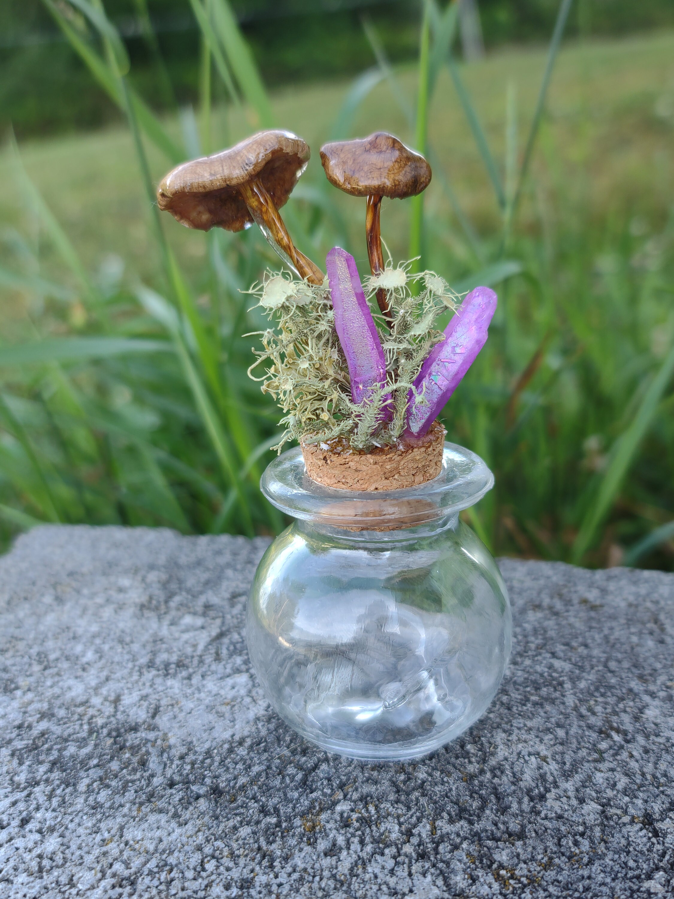 Real Mushrooms and Crystals Jar Display Home Decor Alter Etsy