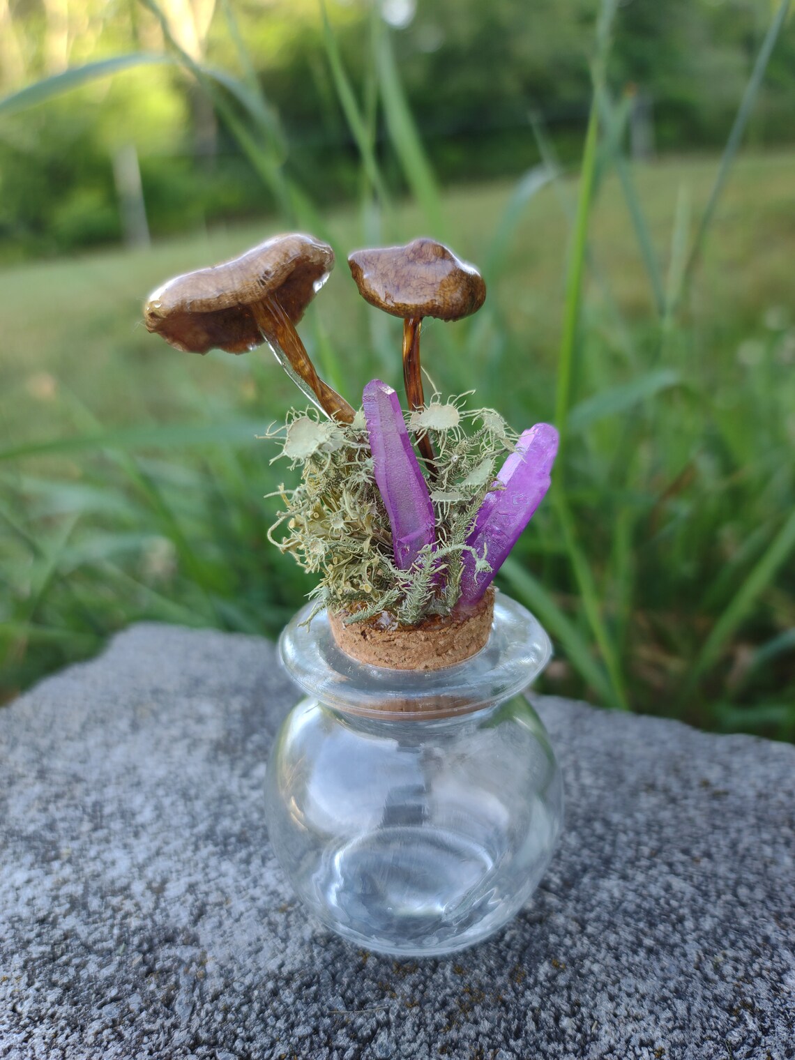 Real Mushrooms and Crystals Jar Display Home Decor Alter Etsy