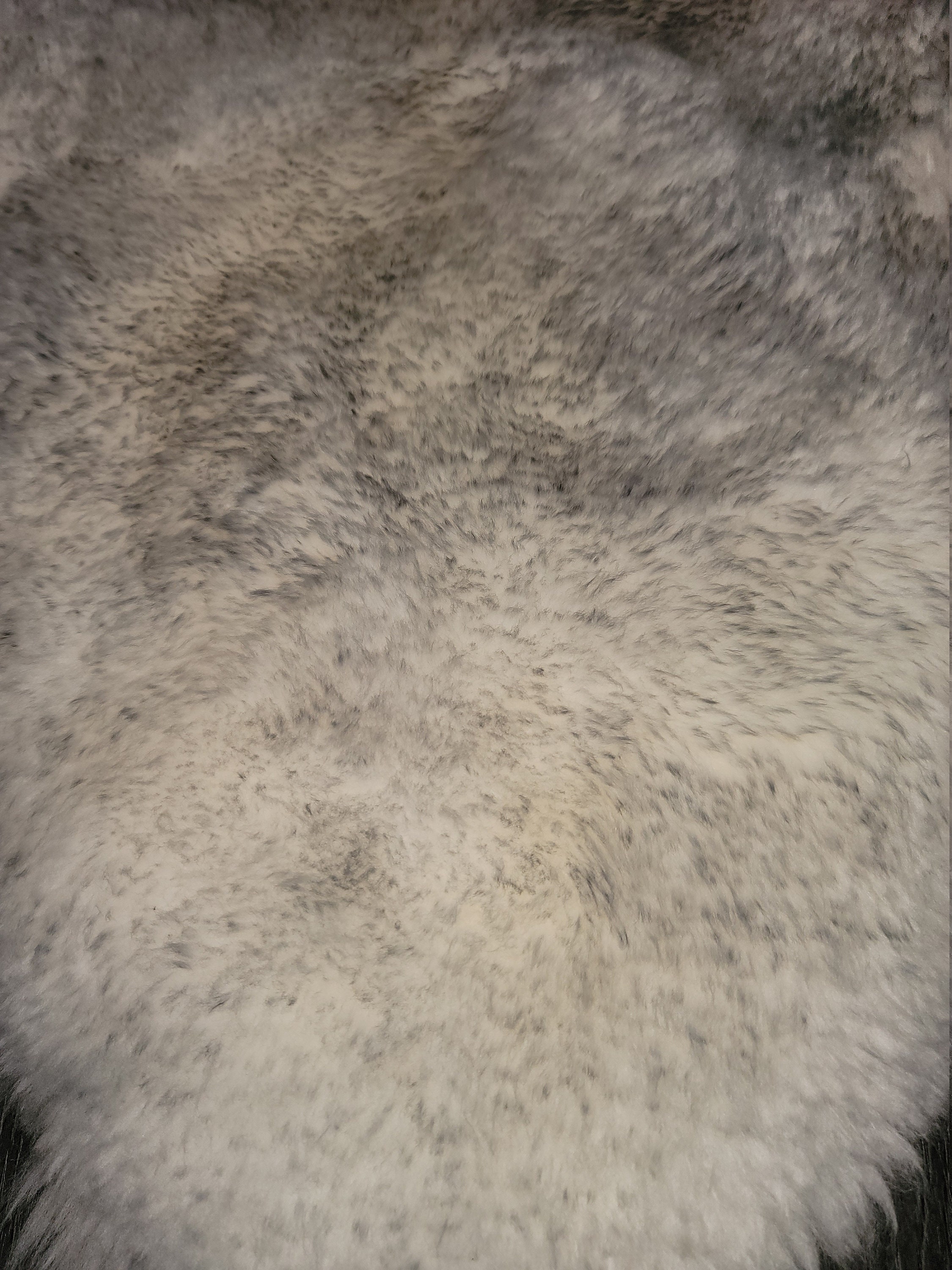 Premium Quality Quad Sheepskin Rug Natural Large Sheep Skin 4 Etsy