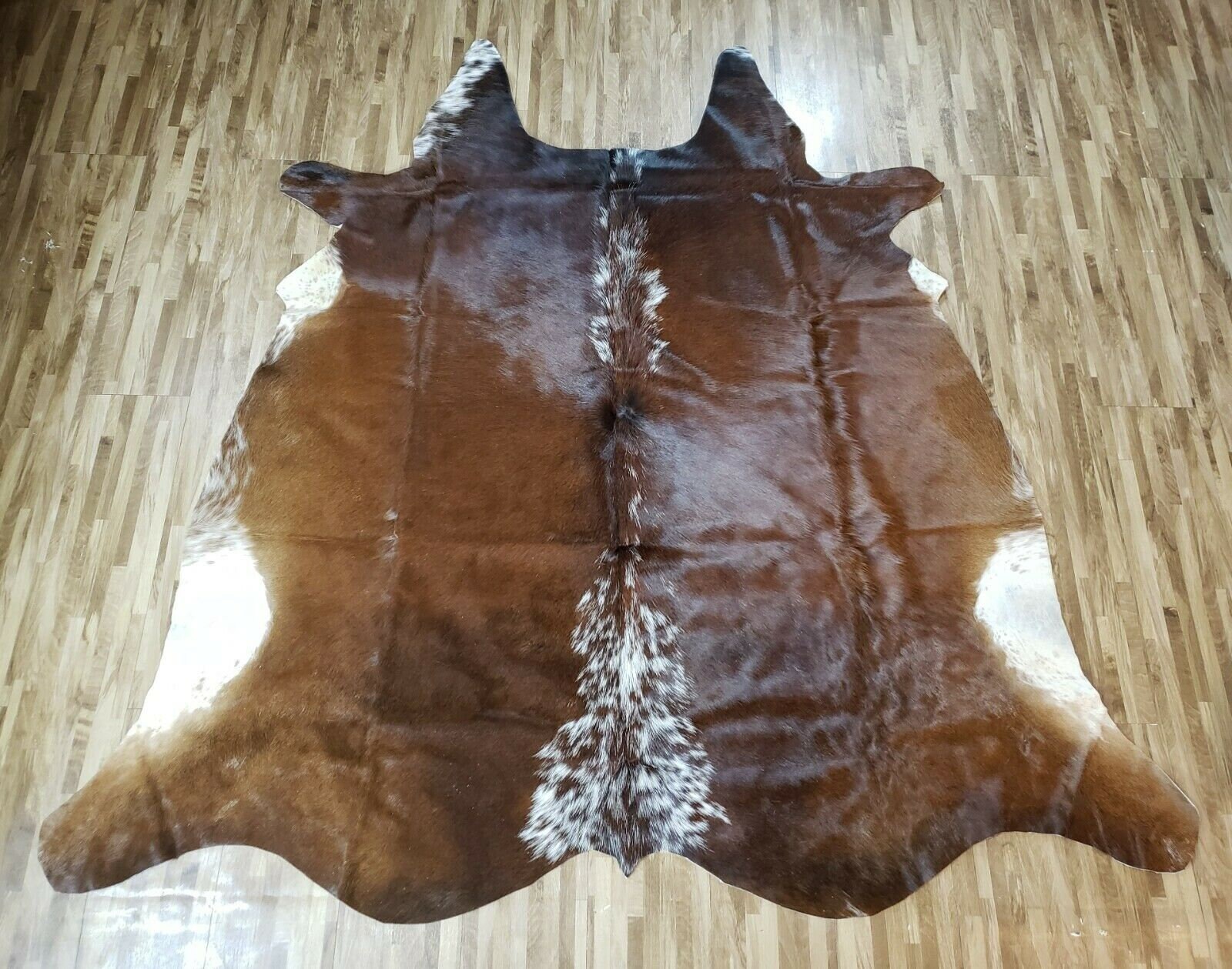 Brindle Cowhide Rug Brown White Cow Skin Rug Real Hair on Cow Etsy