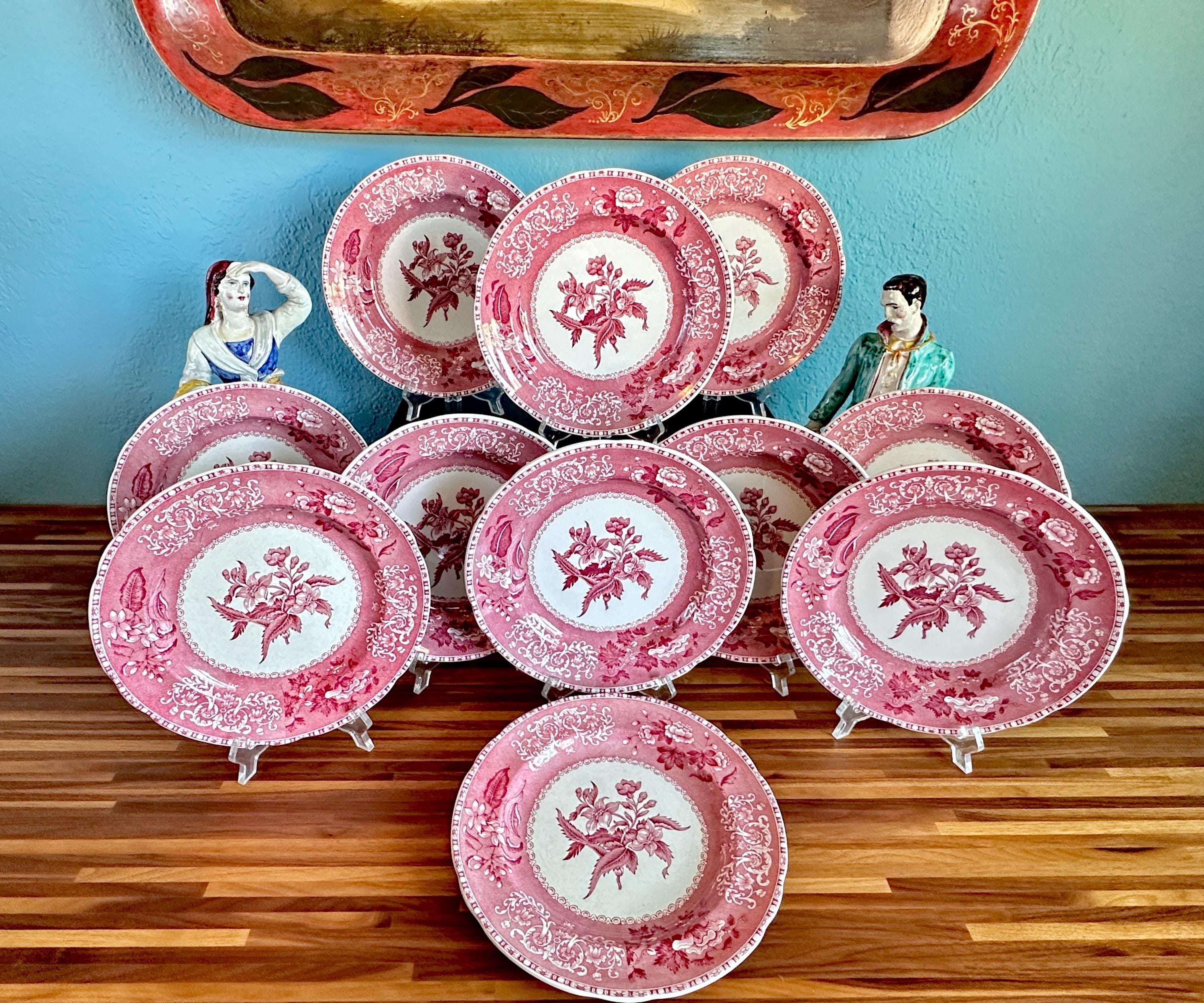 スポード　ピンクカミラ　プレート6枚セット スポード ピンクカミラ プレート6枚セット