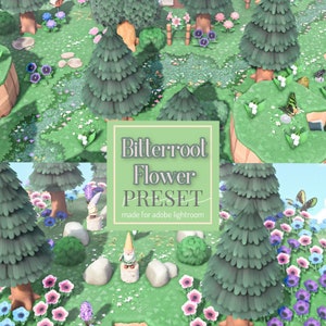 Bitterroot Flower Preset