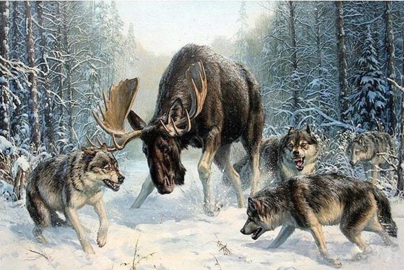 Forest Bear, Wolf, Eagle Deer 5D Diamond Painting -  –  Five Diamond Painting