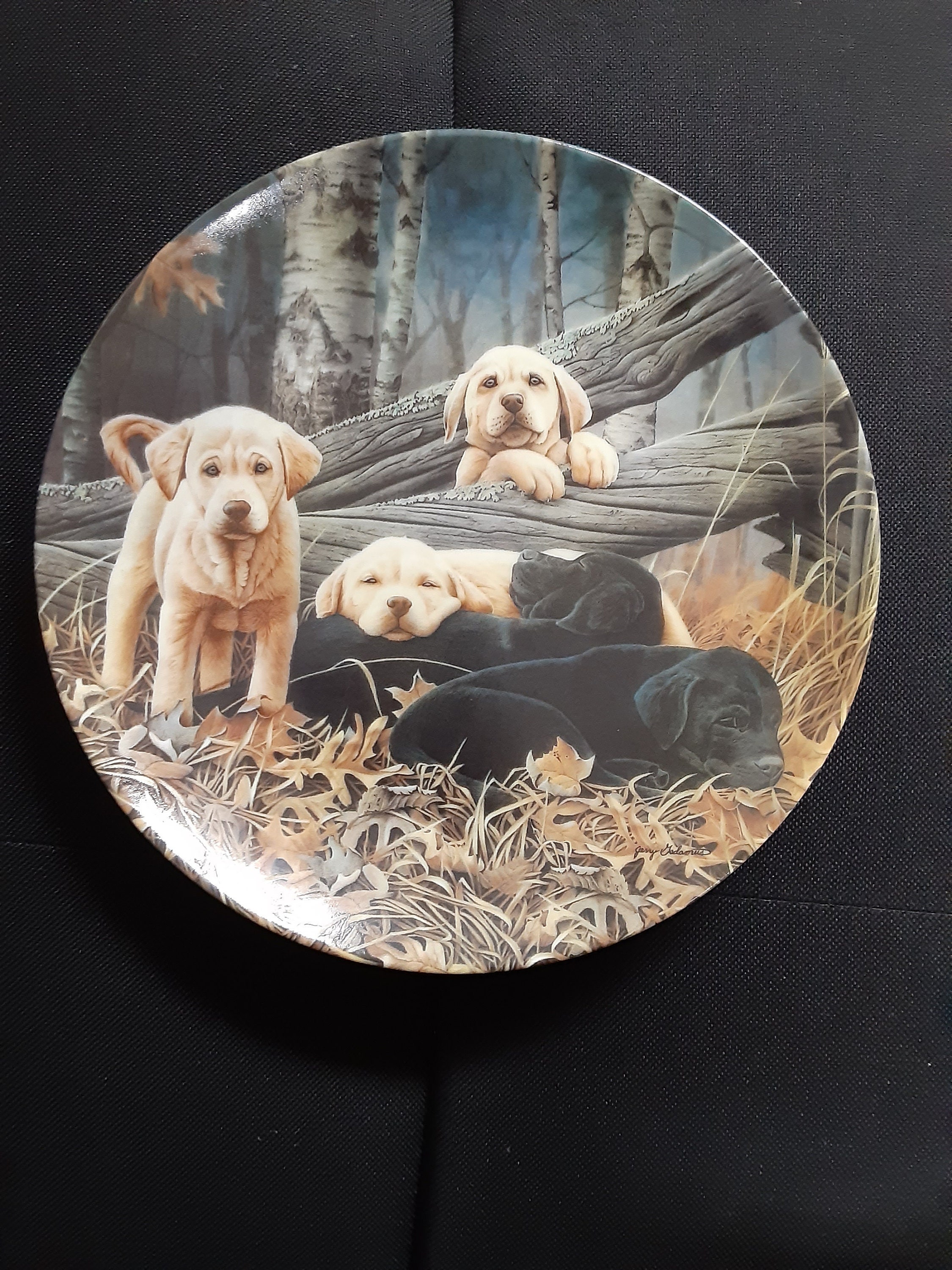 Vintage Bradford Exchange Sweet Dreams Dog Days Jerry Gadamus