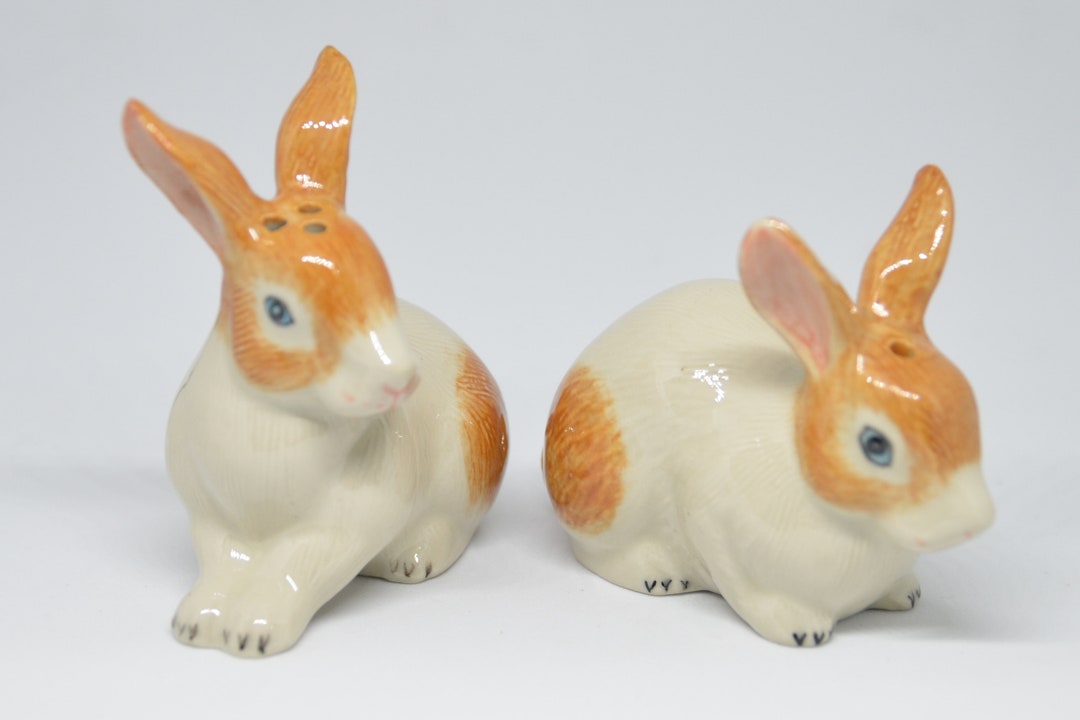 Rabbit Salt and Pepper Shakers Set Ceramic Figurine Unique Etsy