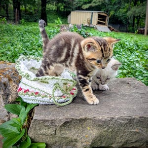 May include: Two kittens, one brown tabby and one light grey, stand on a stone surface. A white crocheted bag with red and green floral accents sits nearby. The background features lush greenery and a small wooden structure.