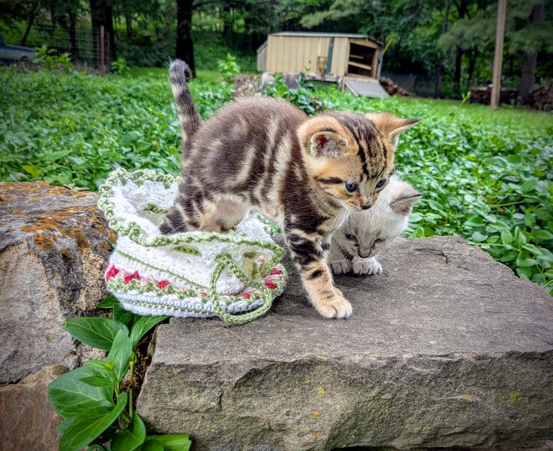 May include: Two kittens, one brown tabby and one light grey, stand on a stone surface. A white crocheted bag with red and green floral accents sits nearby. The background features lush greenery and a small wooden structure.