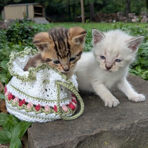 May include: Two kittens, one brown tabby and one white, sit on a stone surface. The tabby kitten is in a white crocheted bag with green and red floral accents. The white kitten is next to the bag, with a green background.