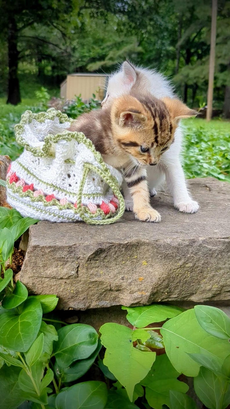 May include: Two kittens, one brown tabby and one white, stand on a stone surface next to a white crochet drawstring bag with green and pink accents. The bag has a green border and a matching drawstring. Green foliage is visible in the foreground and background.