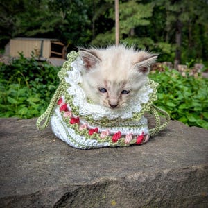 May include: A light-colored kitten with blue eyes peeks out of a handmade crochet bag. The bag is white with green and red floral accents. The kitten is sitting on a large, gray rock, with green foliage in the background.